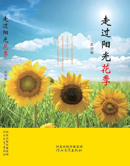 走过阳光花季