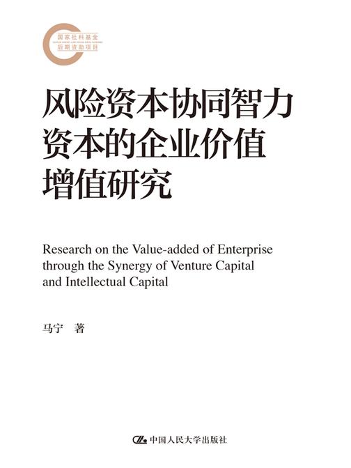 风险资本协同智力资本的企业价值增值研究