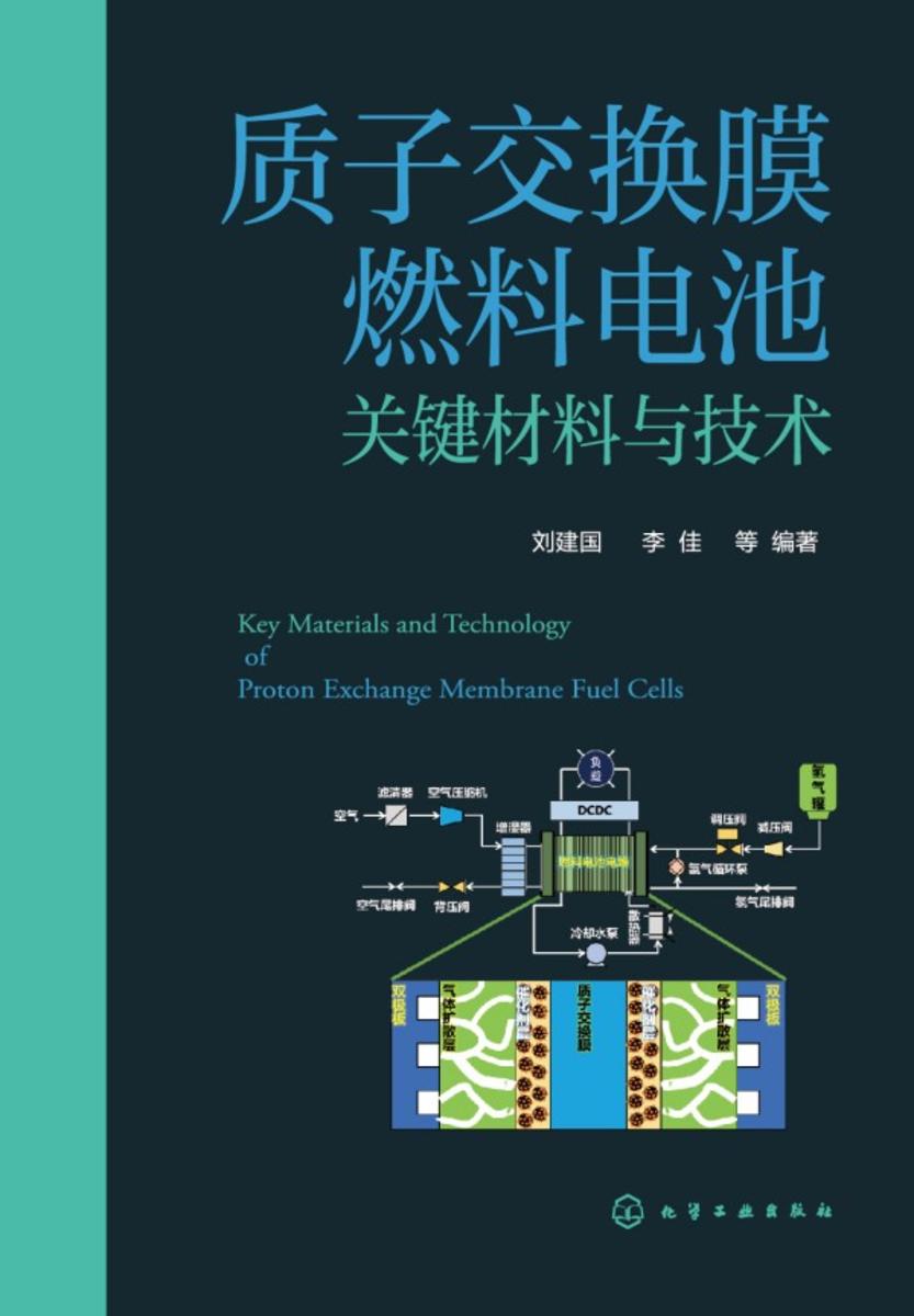 质子交换膜燃料电池关键材料与技术