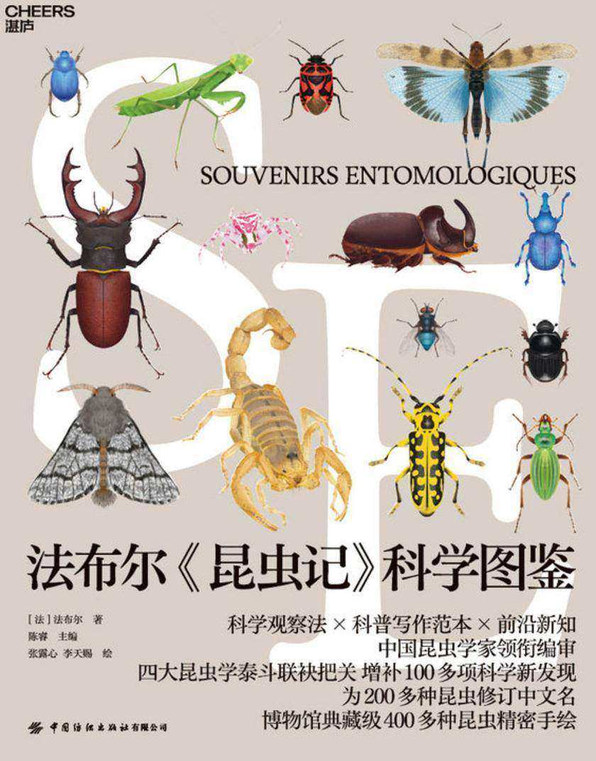 法布尔《昆虫记》科学图鉴