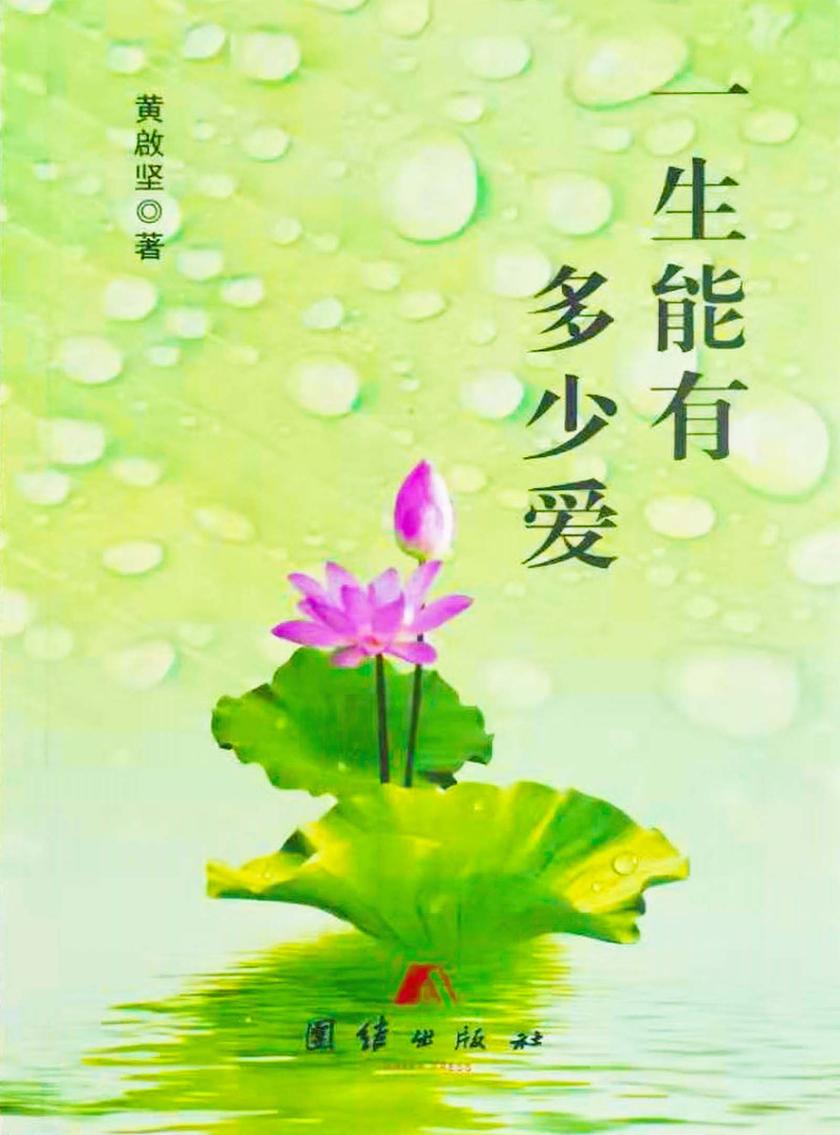 一生能有多少爱