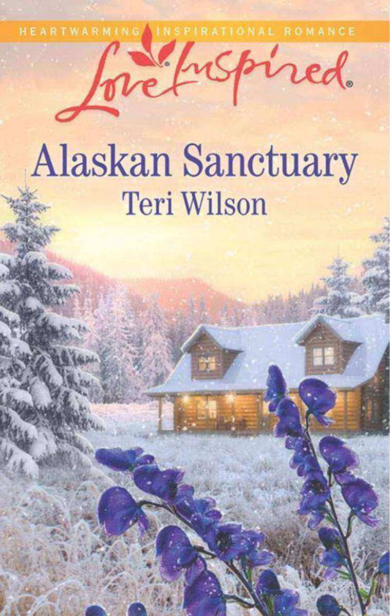 Alaskan Sanctuary (Mills & Boon Love Inspired)