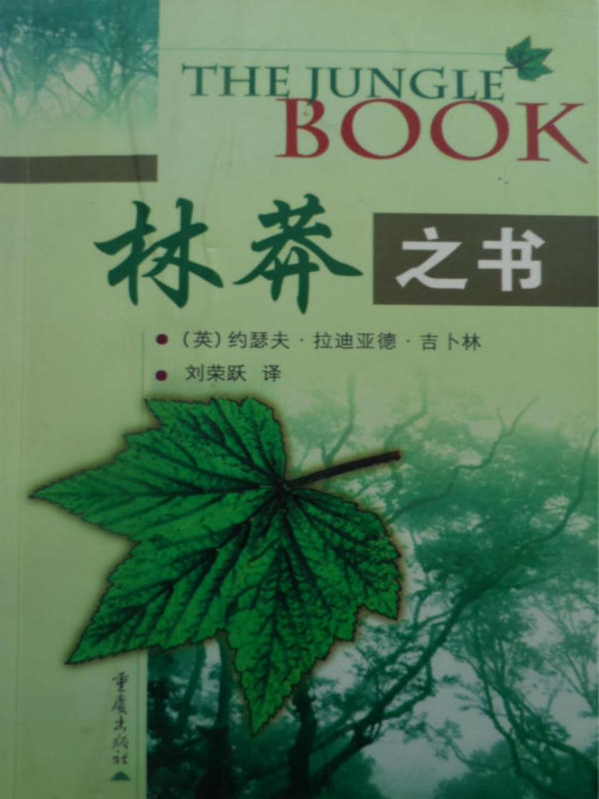林莽之书