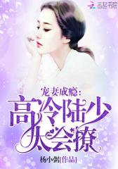 宠妻成瘾：高冷陆少，太会撩