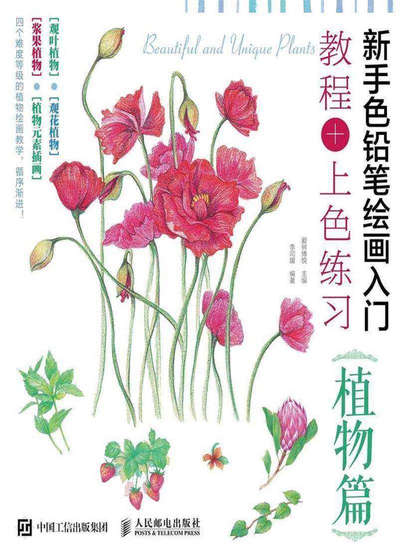 新手色铅笔绘画入门 教程+上色练习 植物篇