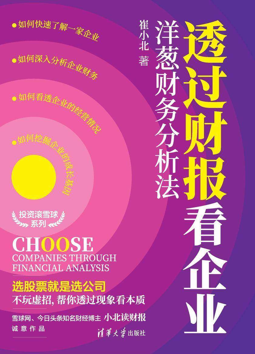 透过财报看企业:洋葱财务分析法