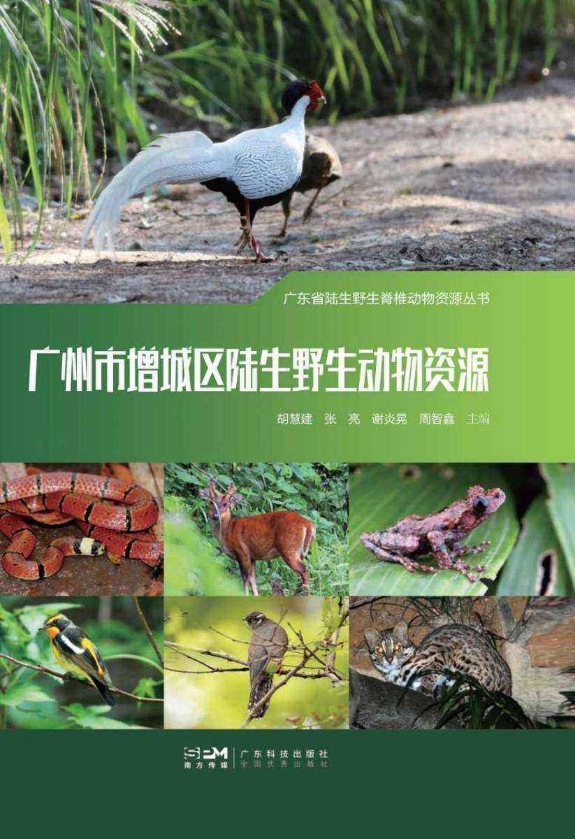 广州增城区陆生野生脊椎动物资源