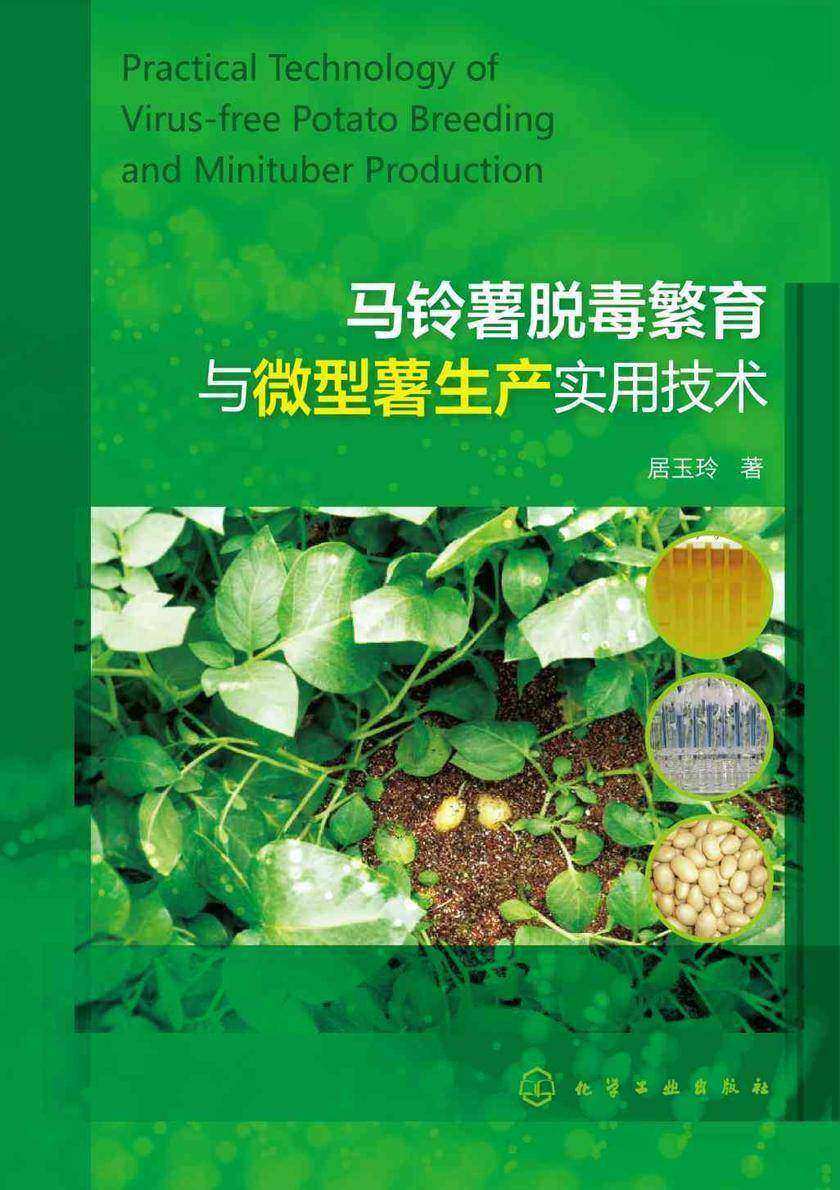 马铃薯脱毒繁育与微型薯生产实用技术