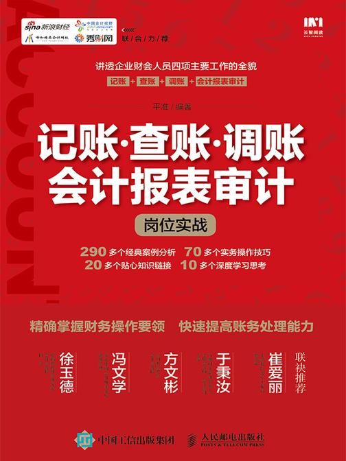 记账?查账?调账?会计报表审计岗位实战