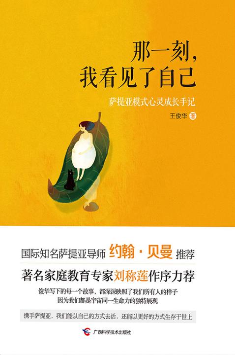 那一刻，我看见了自己：萨提亚模式心灵成长手记