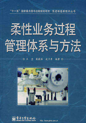 柔性业务过程管理体系与方法(试读本)