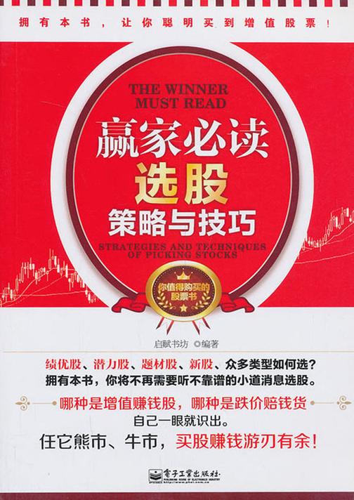 赢家：选股策略与技巧
