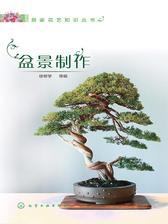 盆景制作