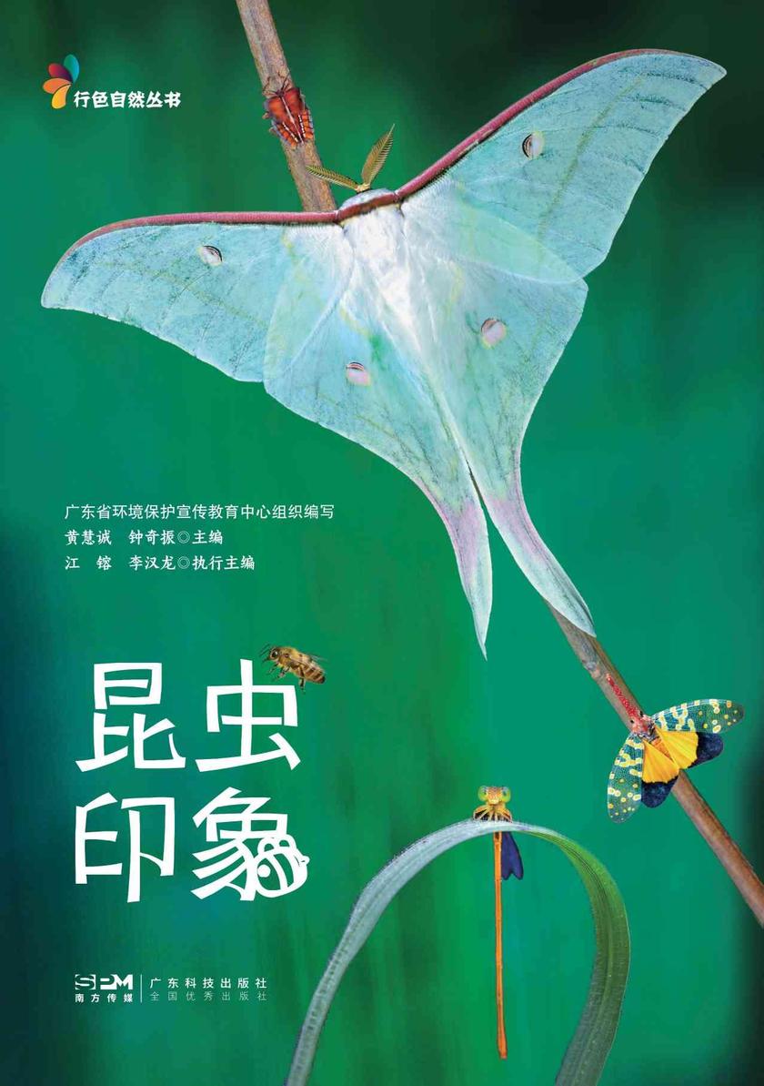 昆虫印象(行色自然丛书)