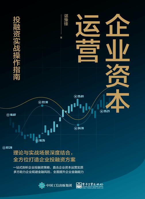 企业资本运营:投融资实战操作指南