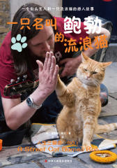 一只名叫鲍勃的流浪猫