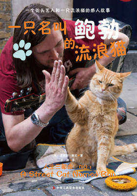 一只名叫鲍勃的流浪猫
