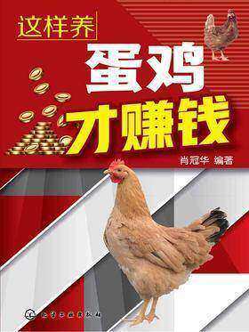 这样养蛋鸡才赚钱