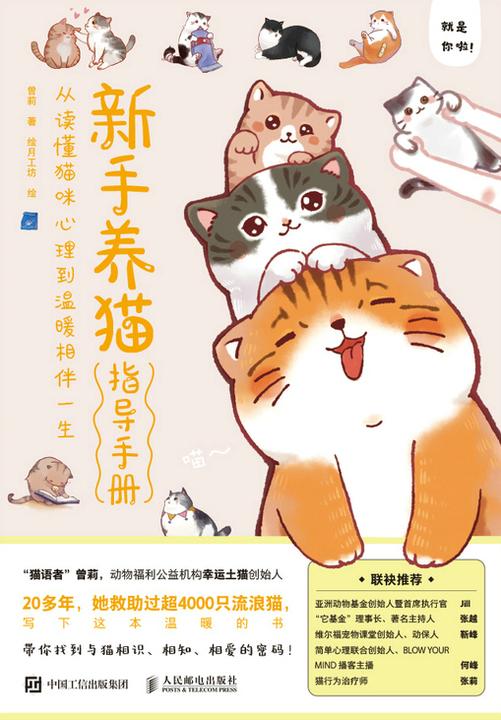 新手养猫指导手册 从读懂猫咪心理到温暖相伴一生