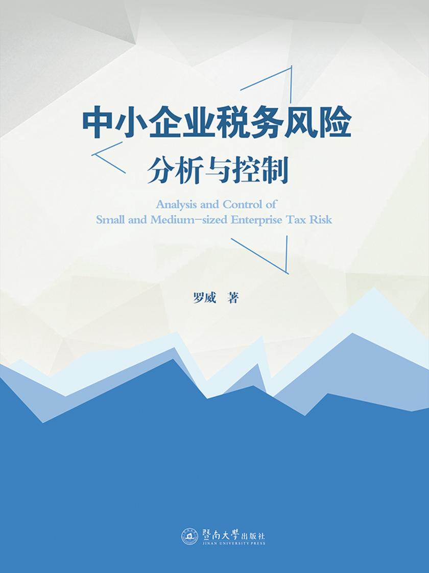 中小企业税务风险分析与控制