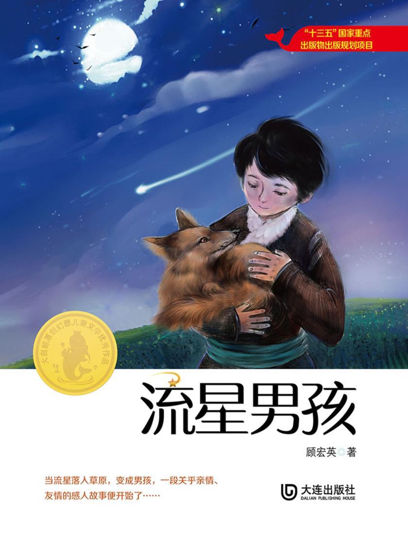 大白鲸原创幻想儿童文学优秀作品:流星男孩