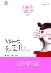 欠你一句我爱你