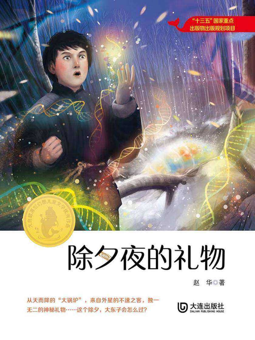 大白鲸原创幻想儿童文学优秀作品：除夕夜的礼物