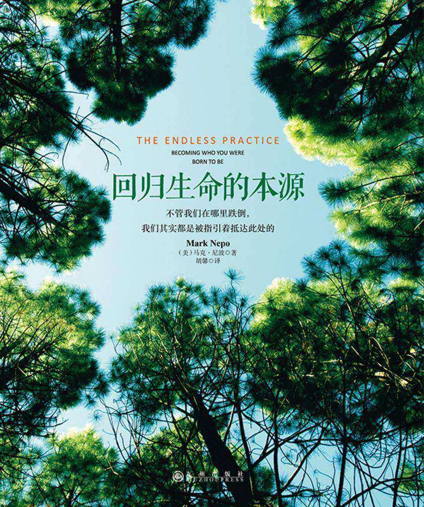回归生命的本源