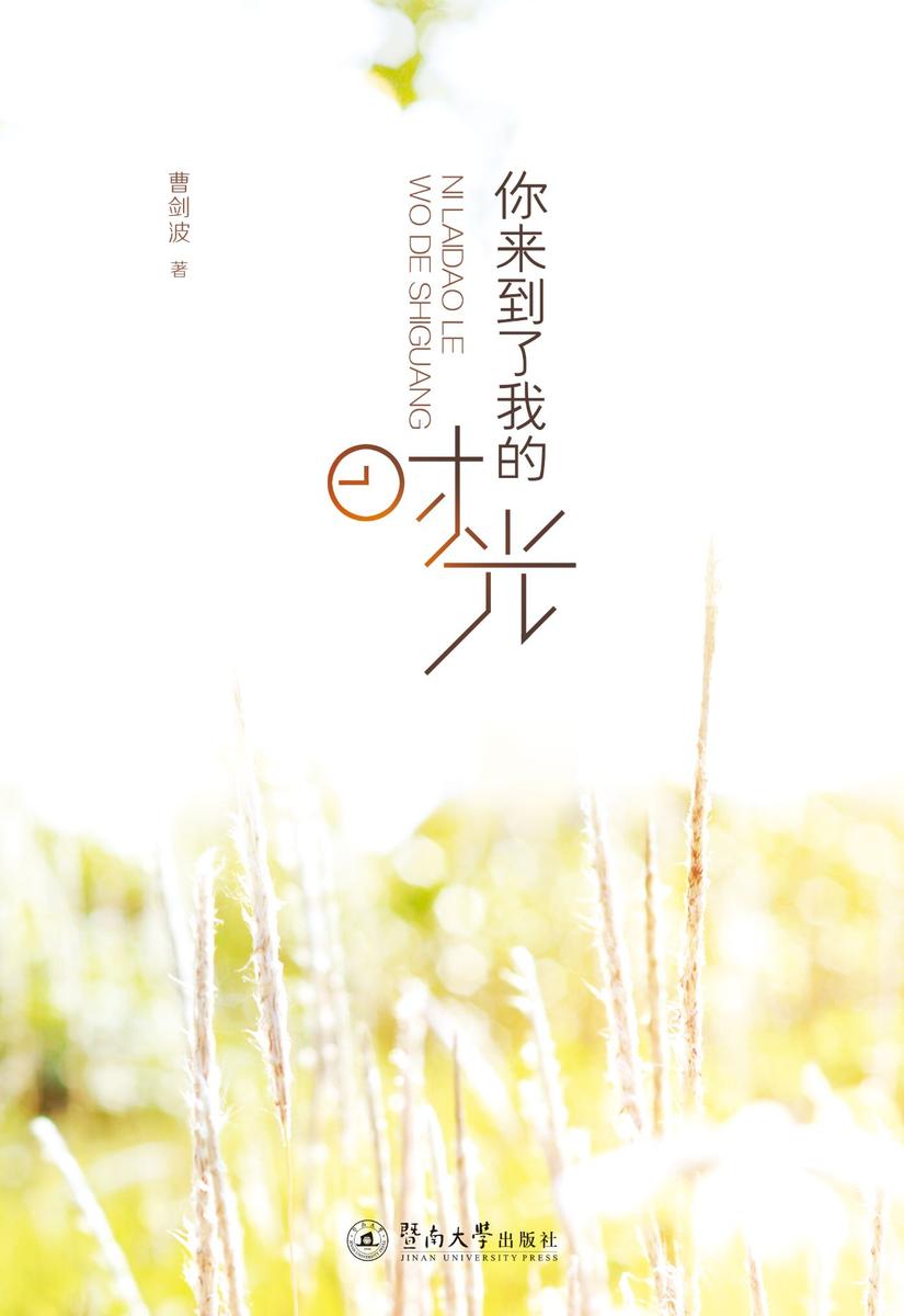 你来到了我的时光