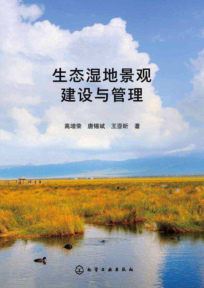 生态湿地景观建设与管理