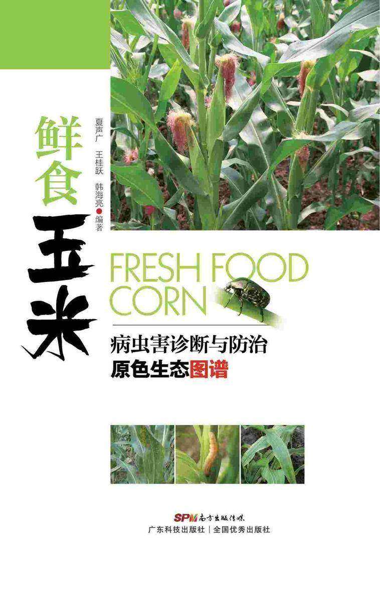 鲜食玉米病虫害诊断与防治原色生态图谱