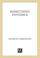 Something Invisible