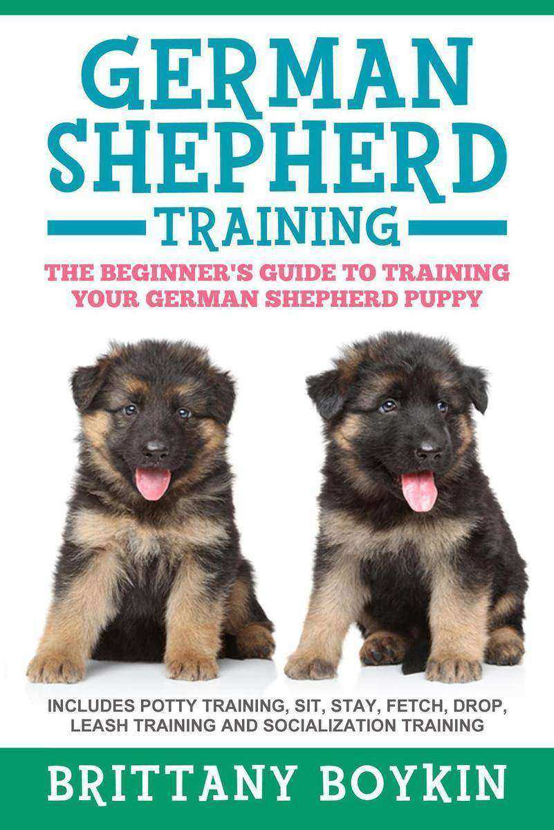 German Shepherd Training: The Beginner's Guide to Training Your German Shepherd