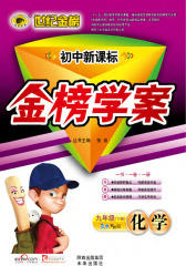 初中金榜学案．九年级化学(仅适用PC阅读)