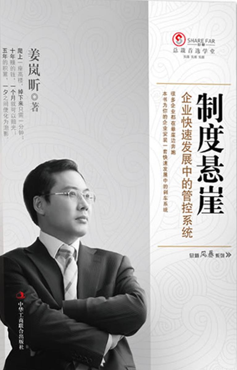 制度悬崖(总裁风暴系列)