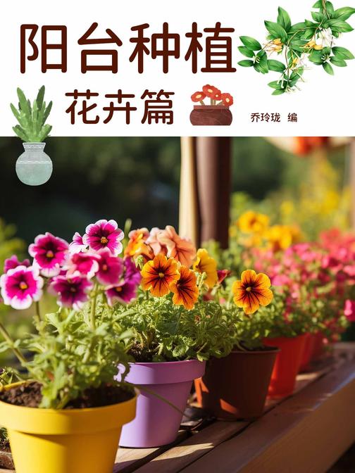阳台种植:花卉篇