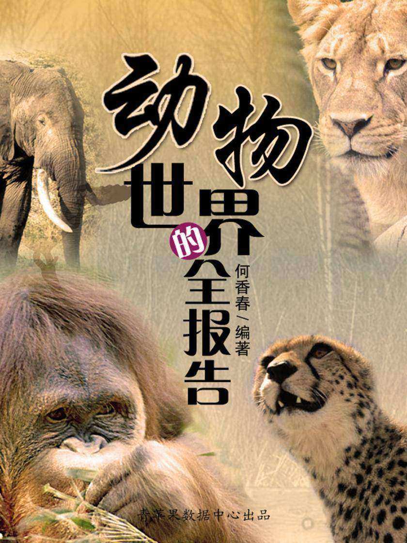 动物世界的全报告