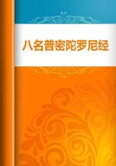 八名普密陀罗尼经