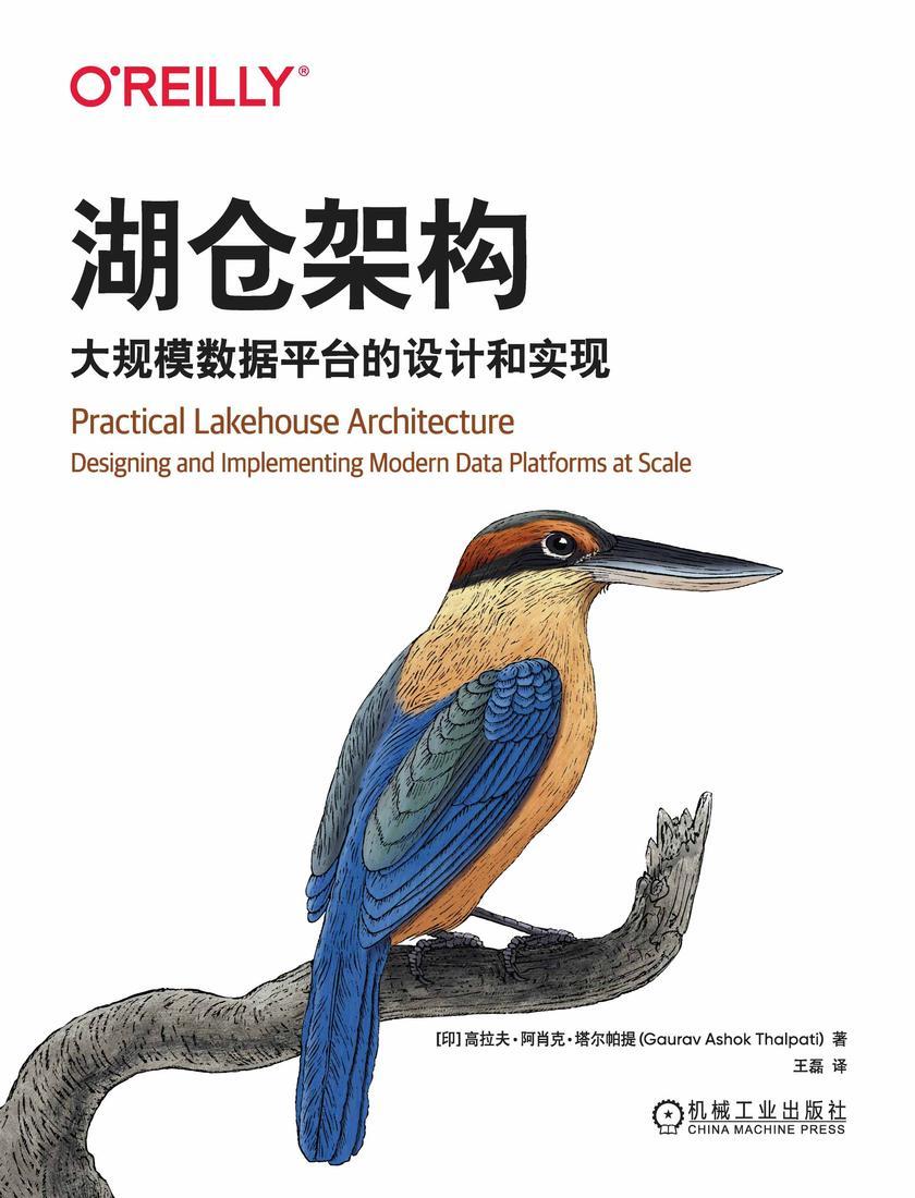 湖仓架构:大规模数据平台的设计和实现