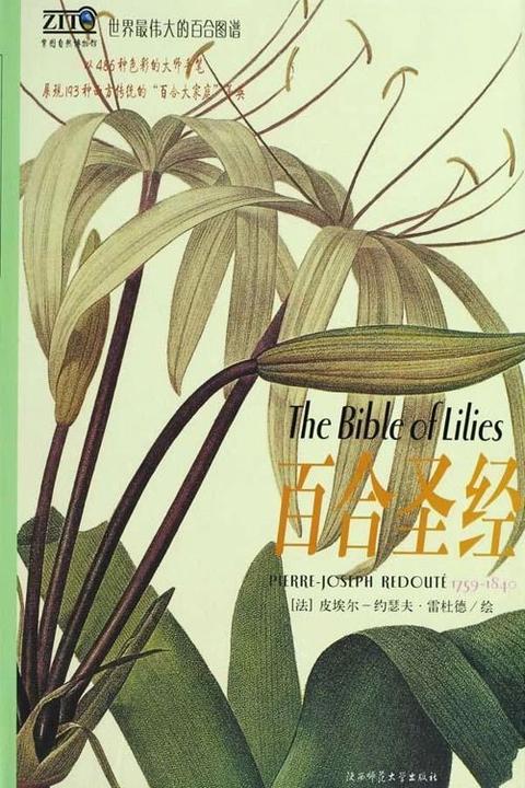 百合圣经