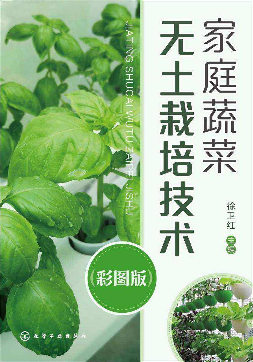 家庭蔬菜无土栽培技术(彩图版)