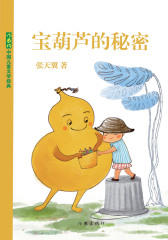 宝葫芦的秘密