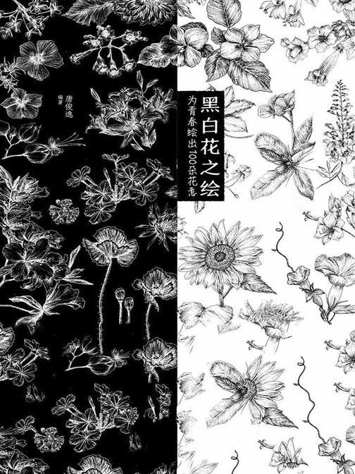 黑白花之绘：为青春绘出100朵花意