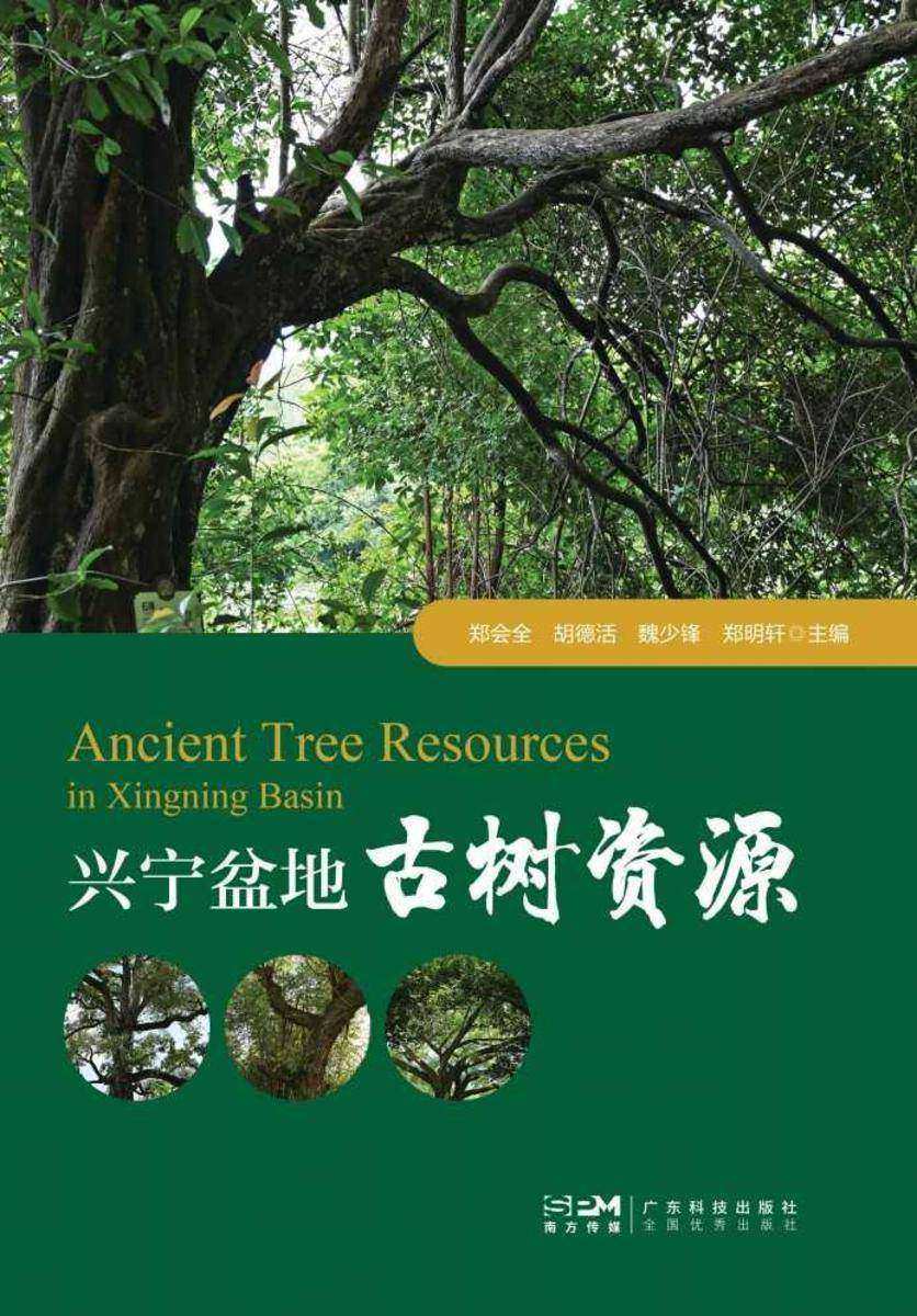 兴宁盆地古树资源