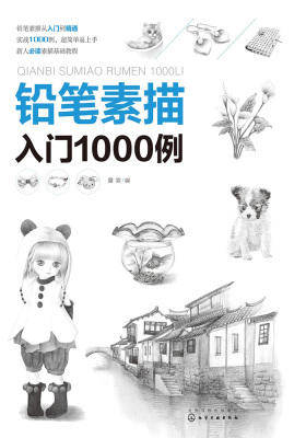 铅笔素描入门1000例