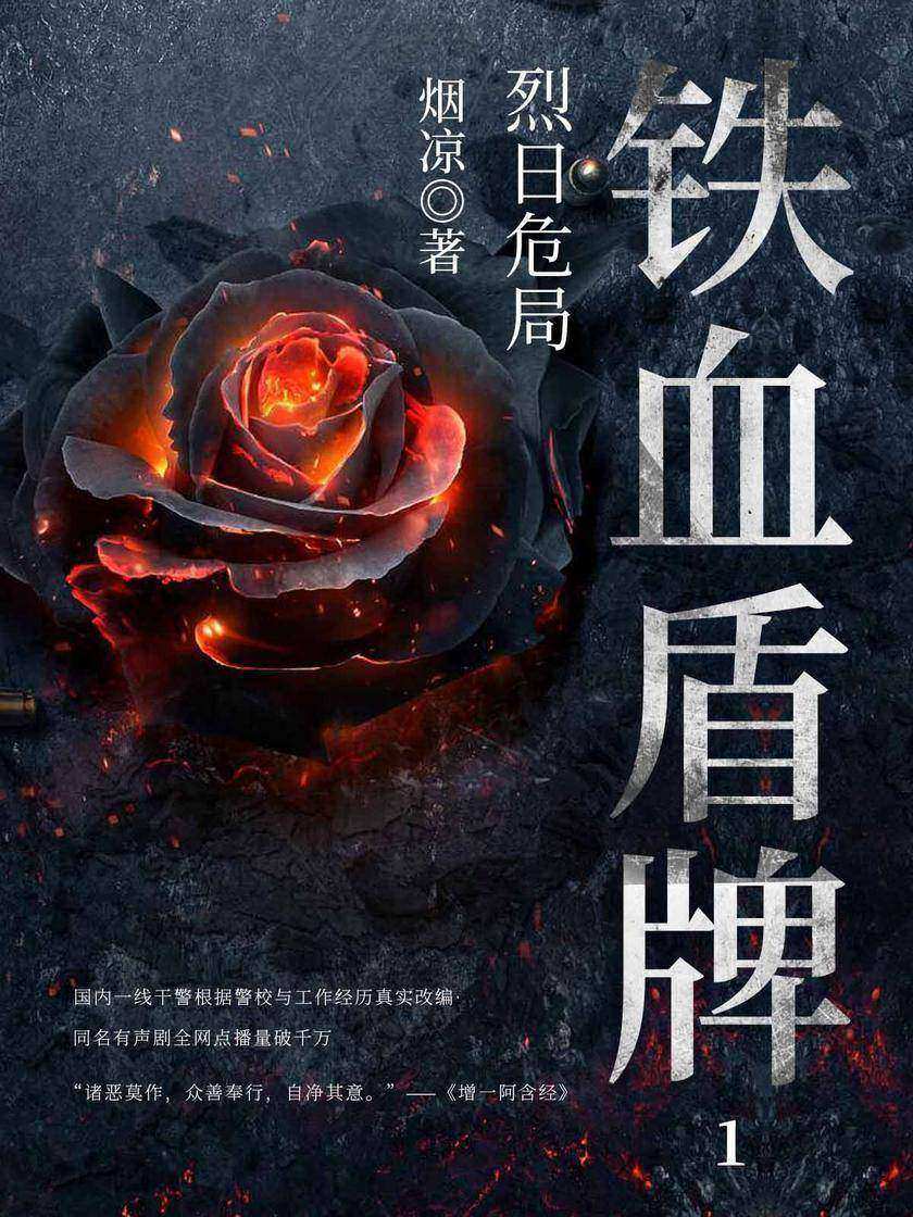 铁血盾牌:烈日危局