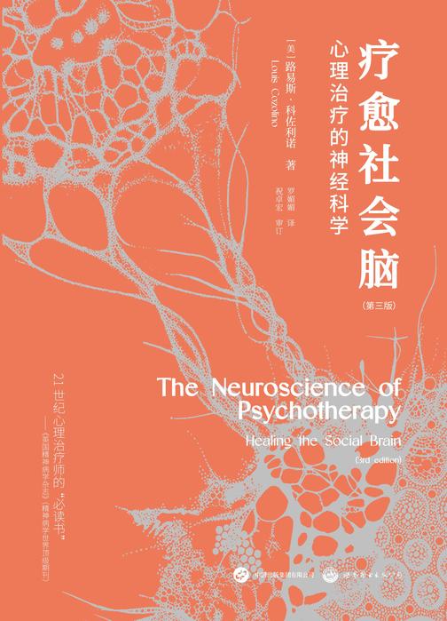 疗愈社会脑:心理治疗的神经科学(用硬核神经科学原理,剖析“神秘莫测”的人类心智。超越具体流派的技术差异,窥见心灵疗愈的底层逻辑。带领心理咨询师迈入职业生涯的更高层级。)