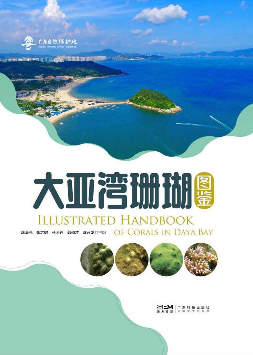 大亚湾珊瑚图鉴