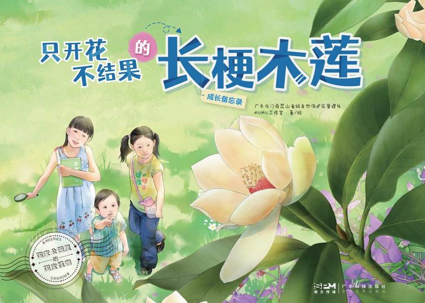 只开花不结果的长梗木莲