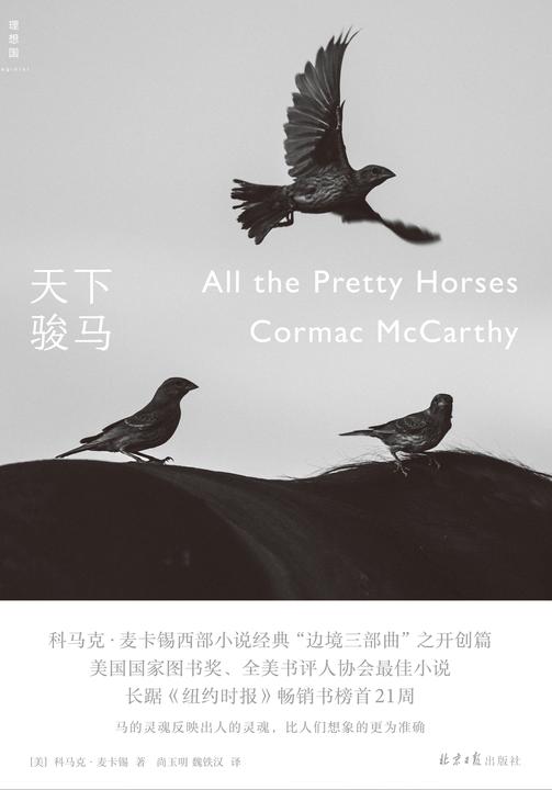 天下骏马(边境三部曲;第一部)